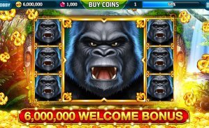 17viptaka